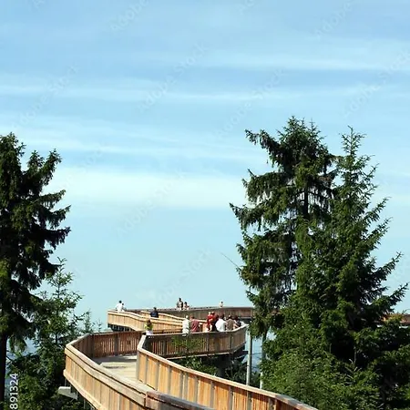 In Nr 512 * Sankt Englmar